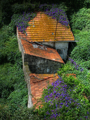 portugal rooftops porto hdr toitures mywinners