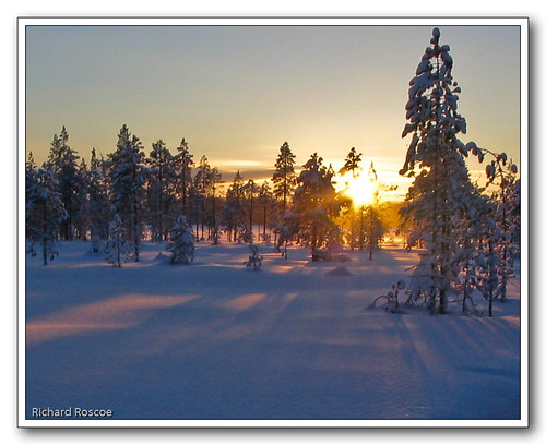 trees sunset snow lapland bec lateafternoon visiongroup