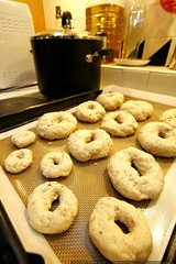 buckwheat bagels before boiling and baking    MG 1665 