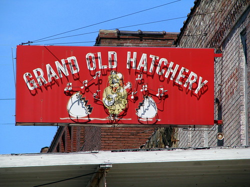 Grand Old Hatchery