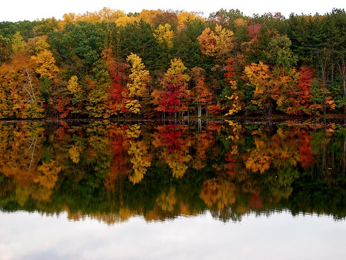 autumn trees red orange lake ny reflection green fall water colors leaves yellow silver catchycolors pond stream reservoir 2008 newwindsor womansday