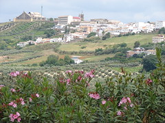Montilla, Spain