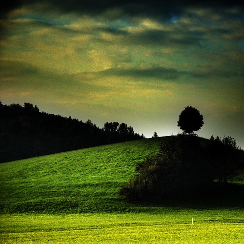 sky color tree green forest landscape schweiz switzerland evening photo nikon foto hill d70s himmel utata grün nikkor landschaft wald farbe baum hügel onmywayhome twtme takenoutofacar