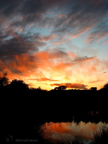 sunset reflection water scotland fife soe burningskys colorphotoaward aplusphoto dalbeath