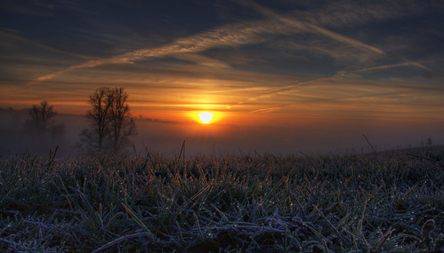 morning mist sunrise thegrove soe mywinners anawesomeshot diamondclassphotographer