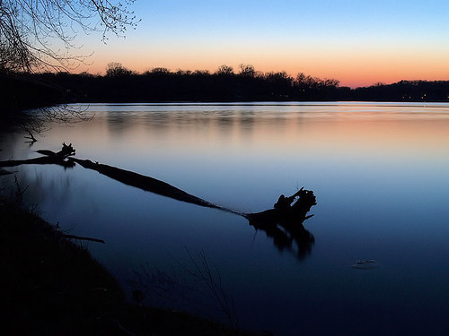 sunset lake water illinois log calm