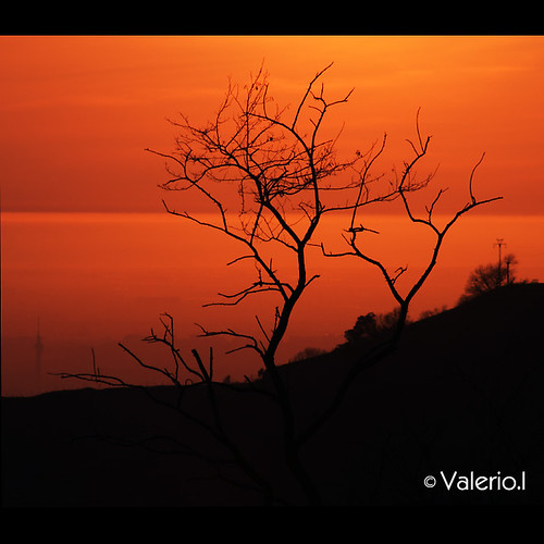 sunset italy panorama orange tree backlight italia tramonto torre branches eur albero controluce rami lazio castelliromani tuscolo valerioi montecompatri montesalomone cecchignola