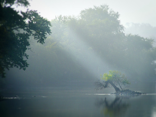 morning light sunlight mist fog wow river landscape island stream ray dream 100v10f foxriver s700 supershot dundeeillinois abigfave aplusphoto ysplix betterthangood