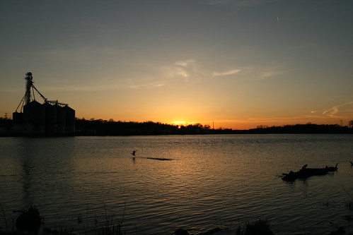 sunset lake wisconsin duck