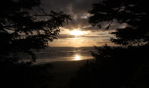 ocean trees sunset summer sky reflection beach water clouds forest canon rebel evening coast washington northwest framed branches silhouettes august pacificocean fir pacificnorthwest wa sunrays 2008 pnw 1022mm firs xsi c4p forested 450d naturallyframed oceancrestresort cal2009