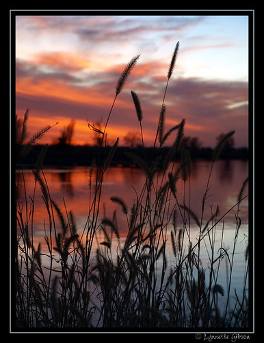 november sunset sky lake reflection water pond nebraska grandisland eaglescoutpark 11252008
