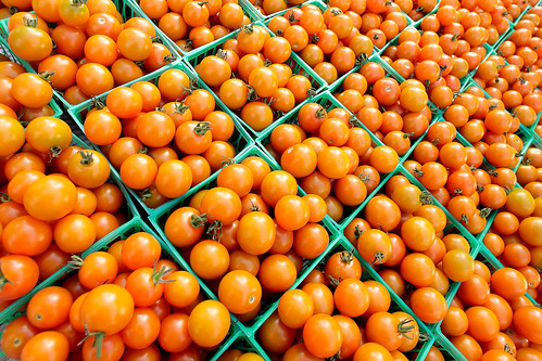light red sky food orange color colour classic beautiful lines fruit wisconsin tomato landscape outdoors design stand farmersmarket earth many fineart wideangle vegetable business vision madison organic tomatos angular wi homegrown lots tomatoe heaps linear stockphoto artistry stockphotography royaltyfree filltheframe danecounty rightsmanaged