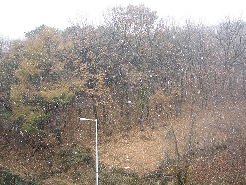 snow korea southkorea
