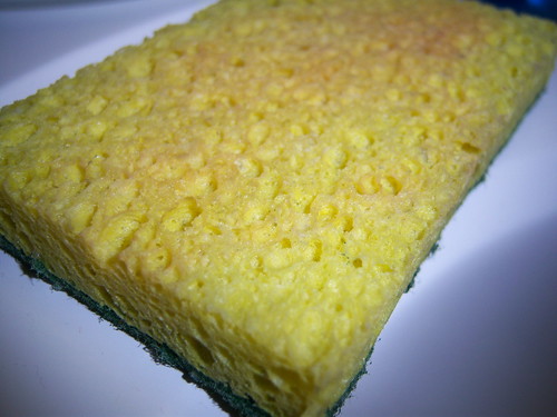 Dish Sponge for glazed painting technique
