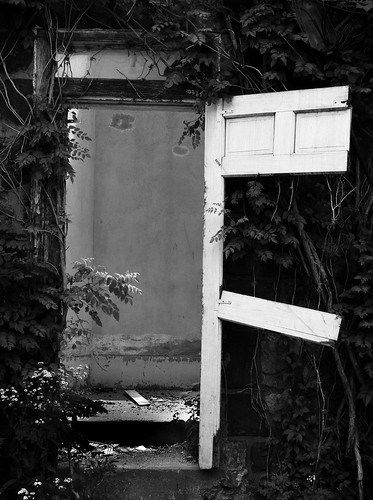 door white abandoned oklahoma broken vines barnsdall stealingshadows wadefromoklahoma wadeharris