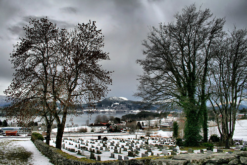 trees winter snow mountains graveyard searchthebest fjord kirkegård gravlund skodje anawesomeshot larigan phamilton skodjechurch