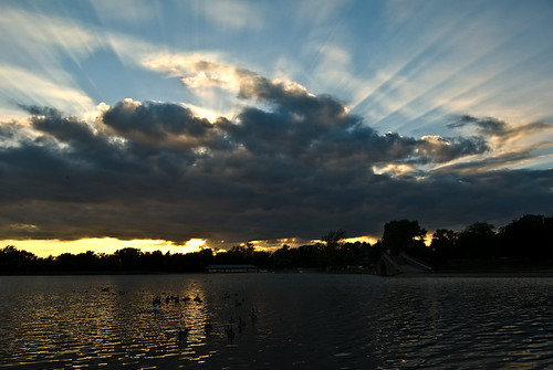sunset water rays waterfowl crepuscular
