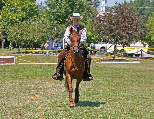 horses horse usa america kent hunter jumpers equestrian smalltown chestertown horsejumping ctown kentcounty smalltownamerica stadiumjumping chestertownmd jumpinghorses chestertownmaryland horseshowjumping nflravens kentco kentcountymaryland shoreshotphotography chestertownparade