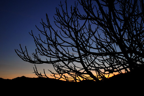 sunset luca nikon tramonto weekend val di d200 albero amici rami vara matematico balletti ossegna luballets