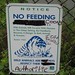 No feeding the coons