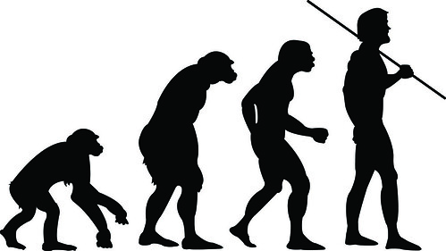 Human Evolution?
