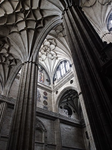 españa cathedral catedral olympus e3 salamanca zuiko castillayleon zd1454mm pikaple