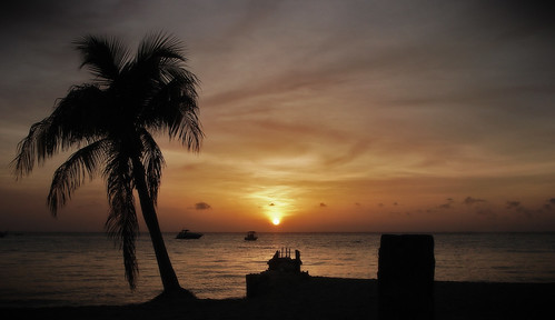 sunset sol atardecer alma playa palmera colorfullaward imprimir082010