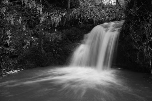 shankwood river lyne longtown longexposure mono water waterfalls cumbria smarthair ©camraman ©daveliddle ©camaman ©davidliddle