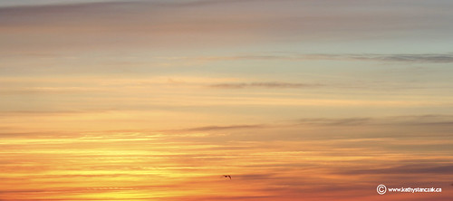 ontario sunrise thornbury
