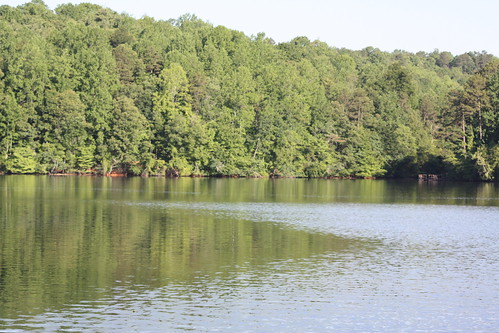 trees summer water reflections nc fishing hickory lakehickory catawbacounty