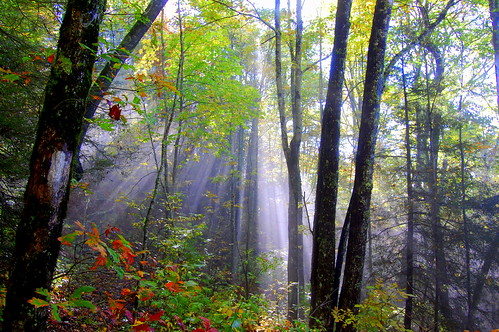 park morning autumn light white mountains fall misty haze nikon october hiking trail national backpacking blaze 1855mm smoky appalachian sunbeam sunray d40