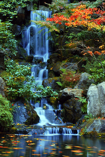 gardens oregon portland japanese waterfall nikon falls nikkor heavenly bigmomma d80 pfogold 3wayassignment83