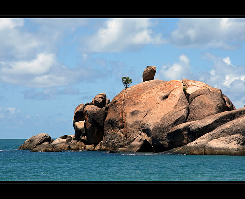 ocean sea tree beach rock island bay australia queensland lonely magnetic balding aplusphoto