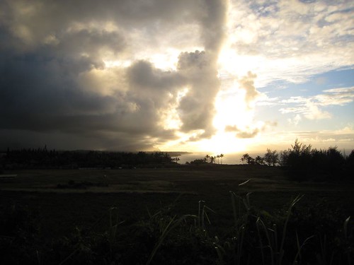 kauai, sunset, sunrays, palm, trees, silhou… IMG_5537