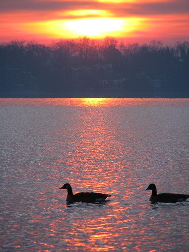 lake fall wisconsin sunrise geese madison monona fbdg