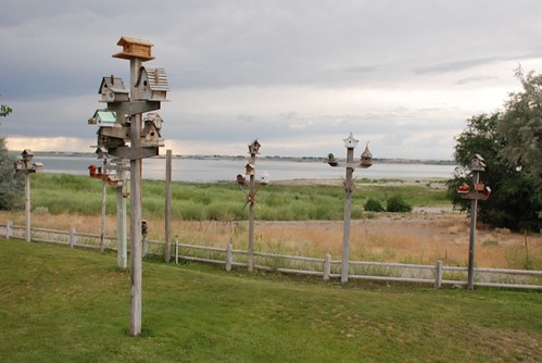 reservoir birdhouses americanfalls