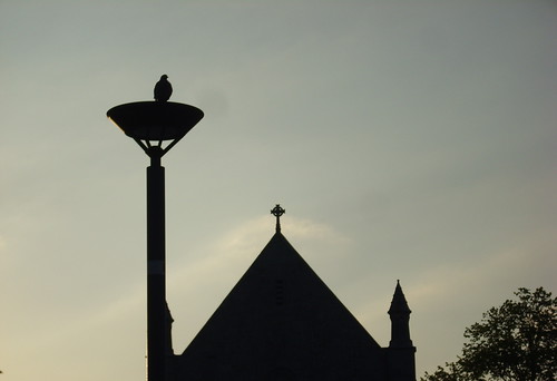 sky bird church silhouette sunrise dawn chapel ucc lightpost celticcross universitycollegecork honanchapel