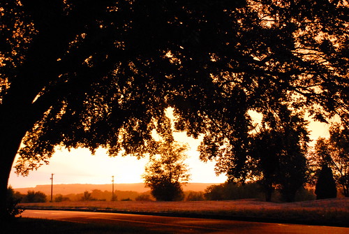 road light sunset sky orange tree water colorado driving shot pueblo while prairie fading treatment dittmer