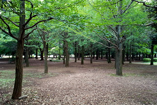 Photo:Yoyogi park By:Noisy Paradise