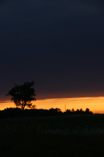 summer nature sunsets lithuania saulėlydis sal16105