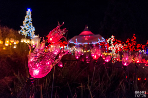 Christmas Lights @ VanDusen Garden