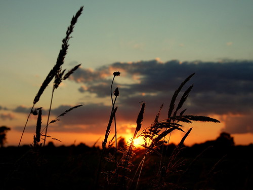 sunset cloud sun silhouette clouds zonsondergang belgium belgie wheat zon overpelt epiceditsselection