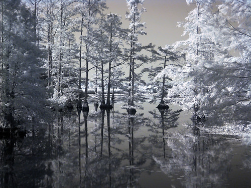 lake reflection ir swamp infrared cypress refuge noxubee baldcypress noxubeenationalwildliferefuge doylearm