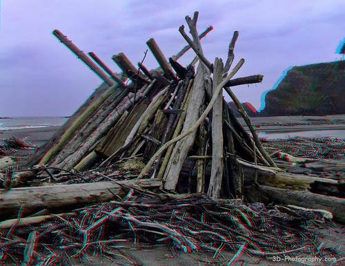 california 3d pacific anaglyph structure stereo driftwood finepix fujifilm w1 rivermouth leanto mendocinocounty navarroriver real3d chrisgrossman