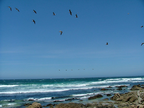 ocean california travel vacation usa beach geotagged geo:lat=3770120736474139 geo:long=12078369140625