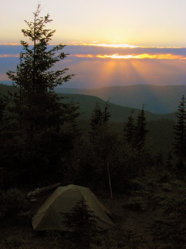light sunset mountain oregon forest mt view tent east national hood zigzag campsite