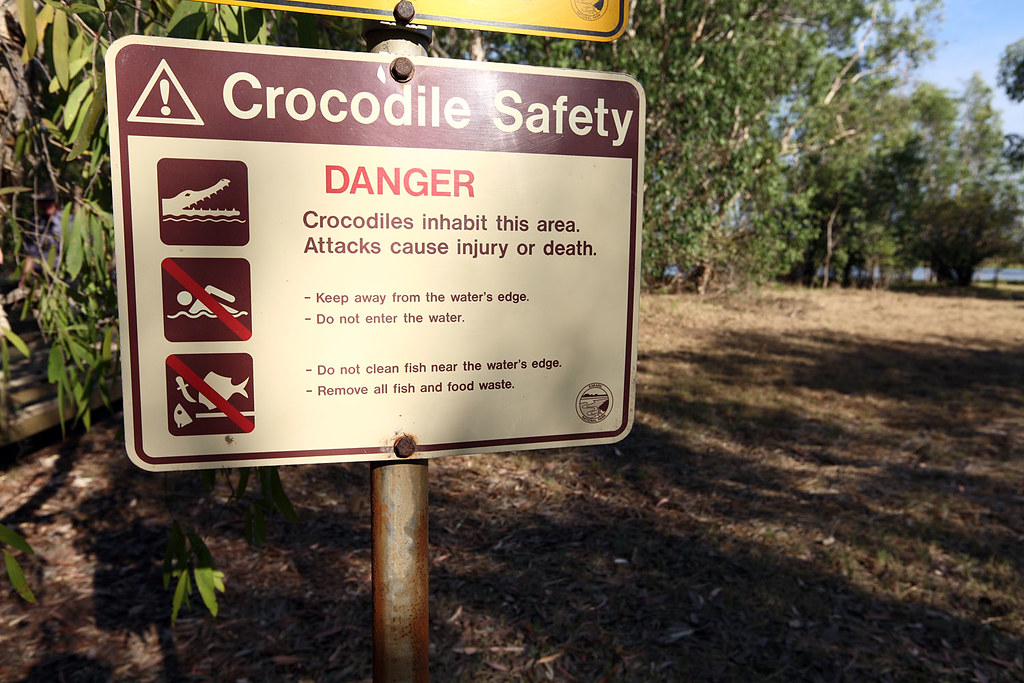 Crocodile Safety