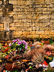 No flowers for the dead - Photo of Guipy