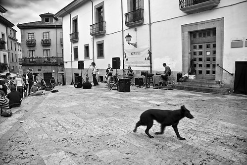 street bw españa music dog calle spain flickr asturias bn perro musica oviedo asturies ltytr1 todojuanjo