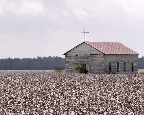 church landscape cotton